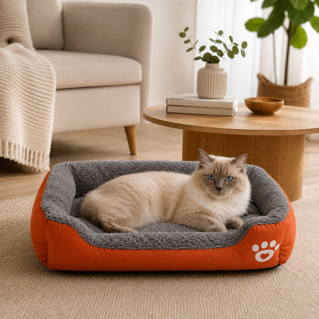Panier pour Chat Bicolore à Rebords | Coussin Nid Toutes Saisons — Le Divan