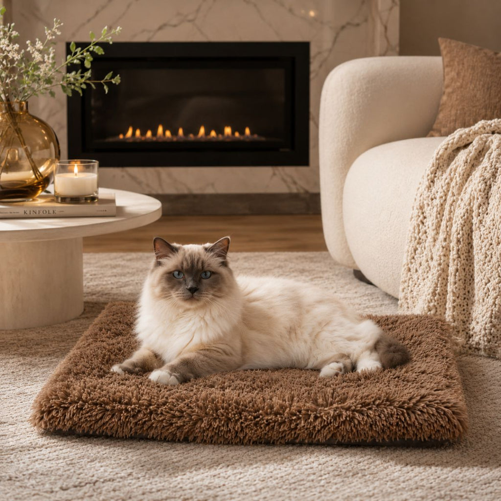 Tapis pour Chat en Peluche Longue | Couchage Plat Toutes Saisons — Le Nuage