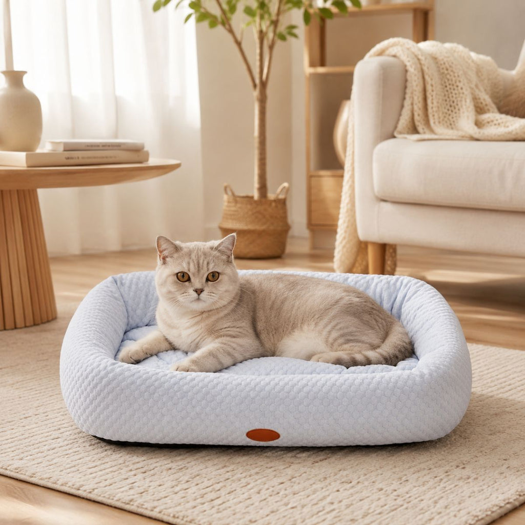 Lit Rafraîchissant pour Chat | Coussin Couchage Été à Rebords - Le Zéphyr