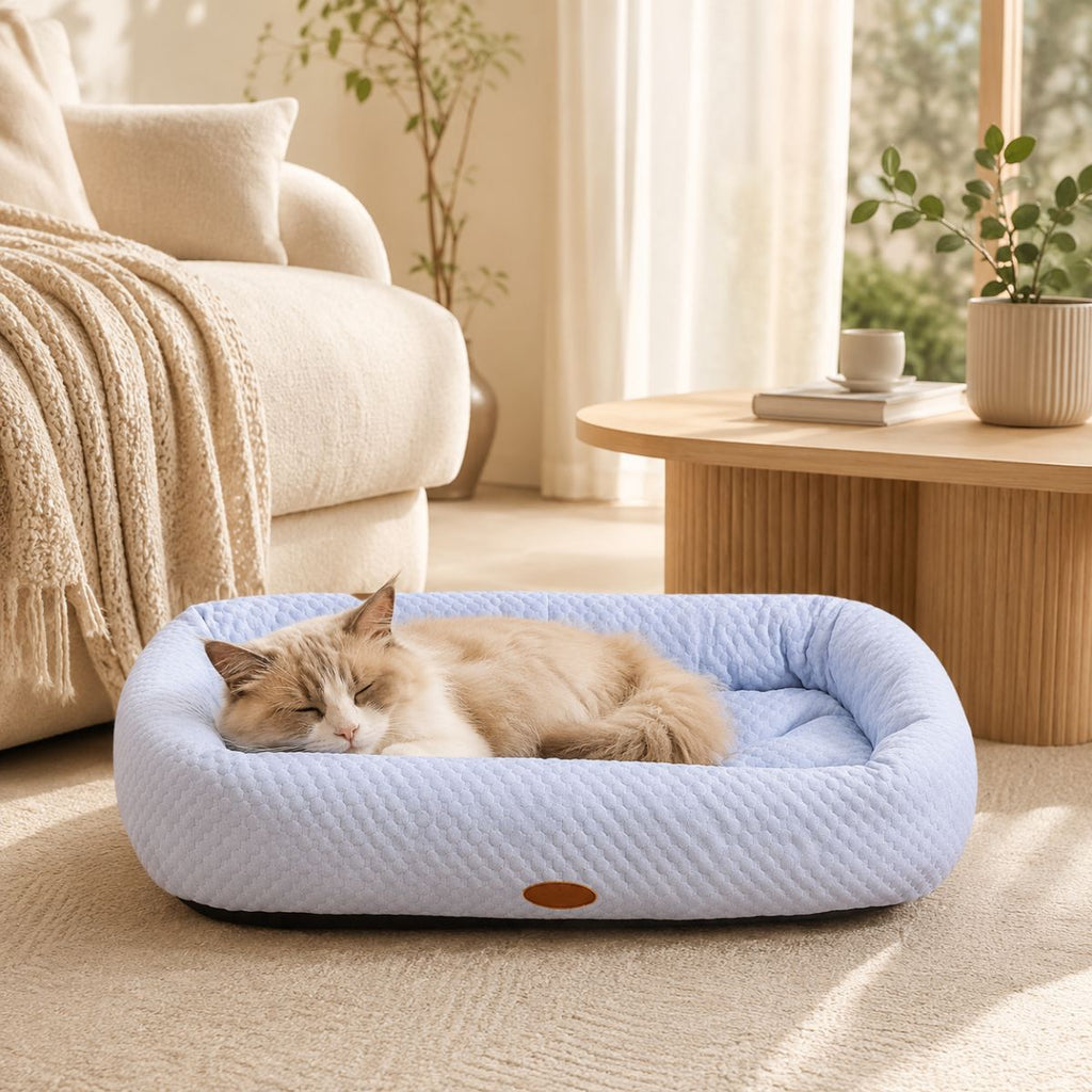 Lit Rafraîchissant pour Chat | Coussin Couchage Été à Rebords - Le Zéphyr