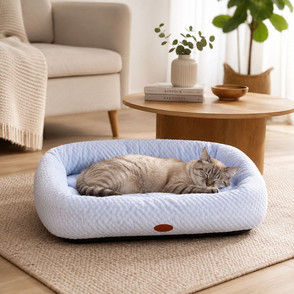 Lit Rafraîchissant pour Chat | Coussin Couchage Été à Rebords - Le Zéphyr